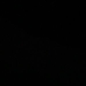 Meet your Posher, Dee